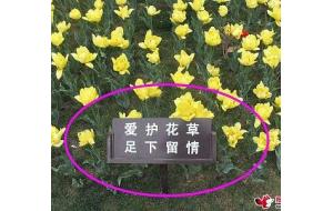 2009嘉善•第七届中国杜鹃花展览在嘉善隆重开幕（图）