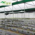 地膜：种植好帮手，优缺点分享，大棚建设好厂家-芳诚温室