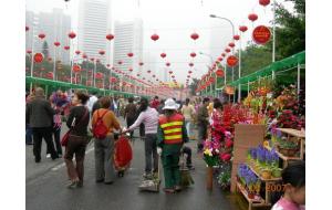 深圳市第二十七届迎春花市