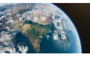 3部纪录片、3本书扩宽你的园艺观