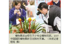 2007中国国际植物展昨在陈村开幕