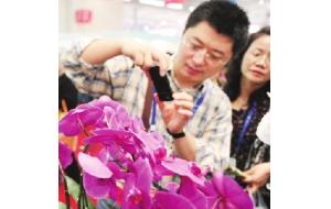 高科技为我们培育高品质花卉(图)