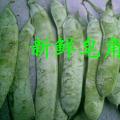 皂角.新鲜皂角.皂角种子